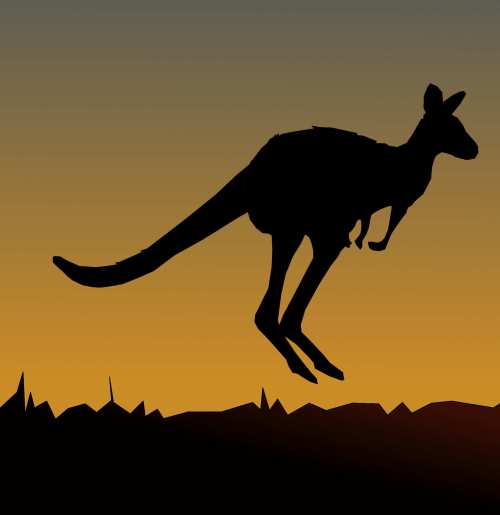 Kangaroo Jumping [galleryhip.com]